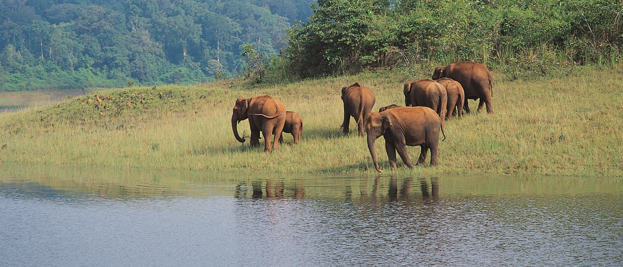 Munnar Thekkady Alleppey House Boat Tour Package