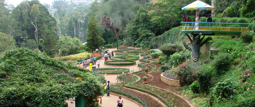 Mysore - Ooty - Coonoor
